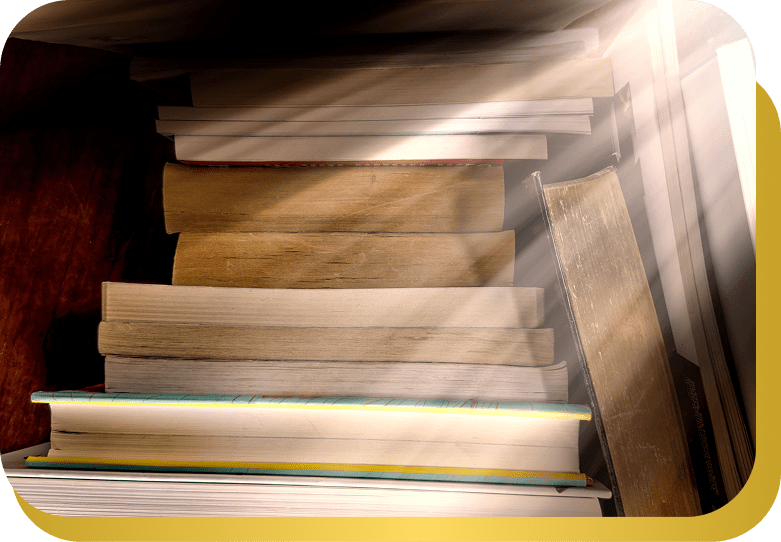Books illuminated by morning light