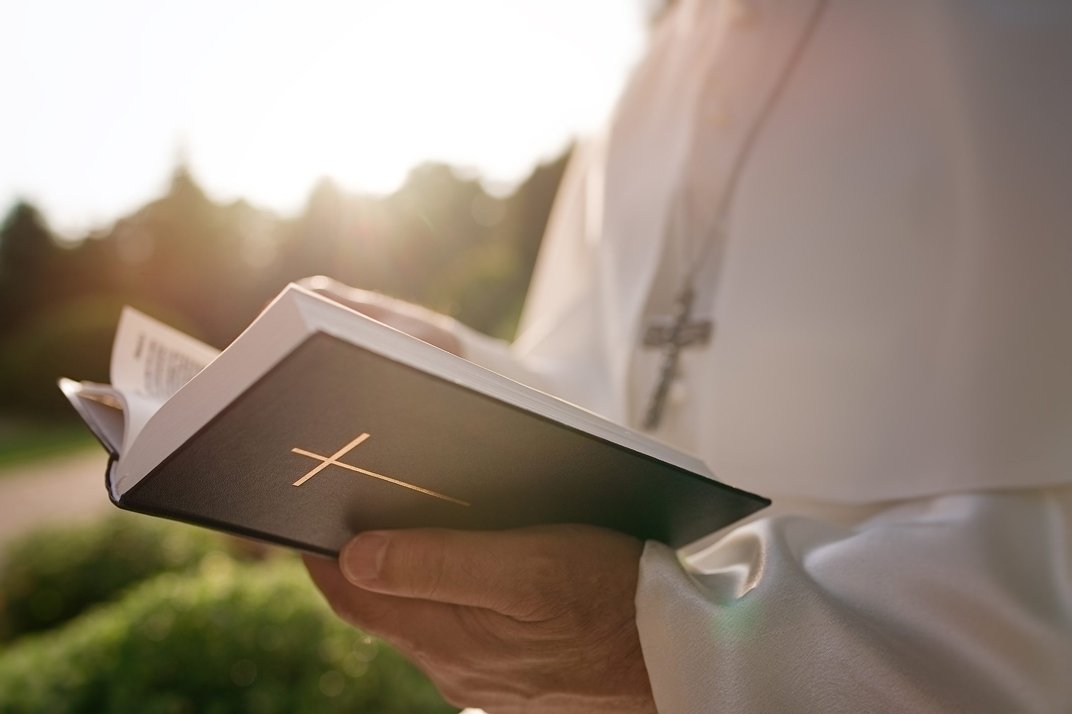 Pope reads the Bible in the garden